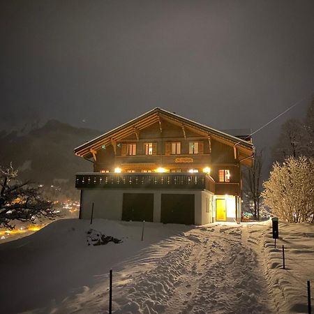 Chalet Studen Γκρίντελβαλντ Εξωτερικό φωτογραφία